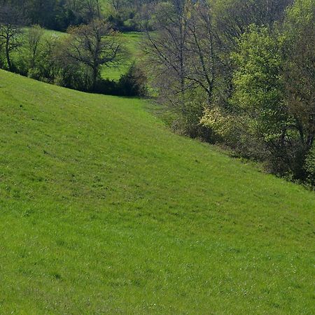 Chambre D'Hote Au Domaine Terre De Chenes Saint-Paul-de-Baise Esterno foto