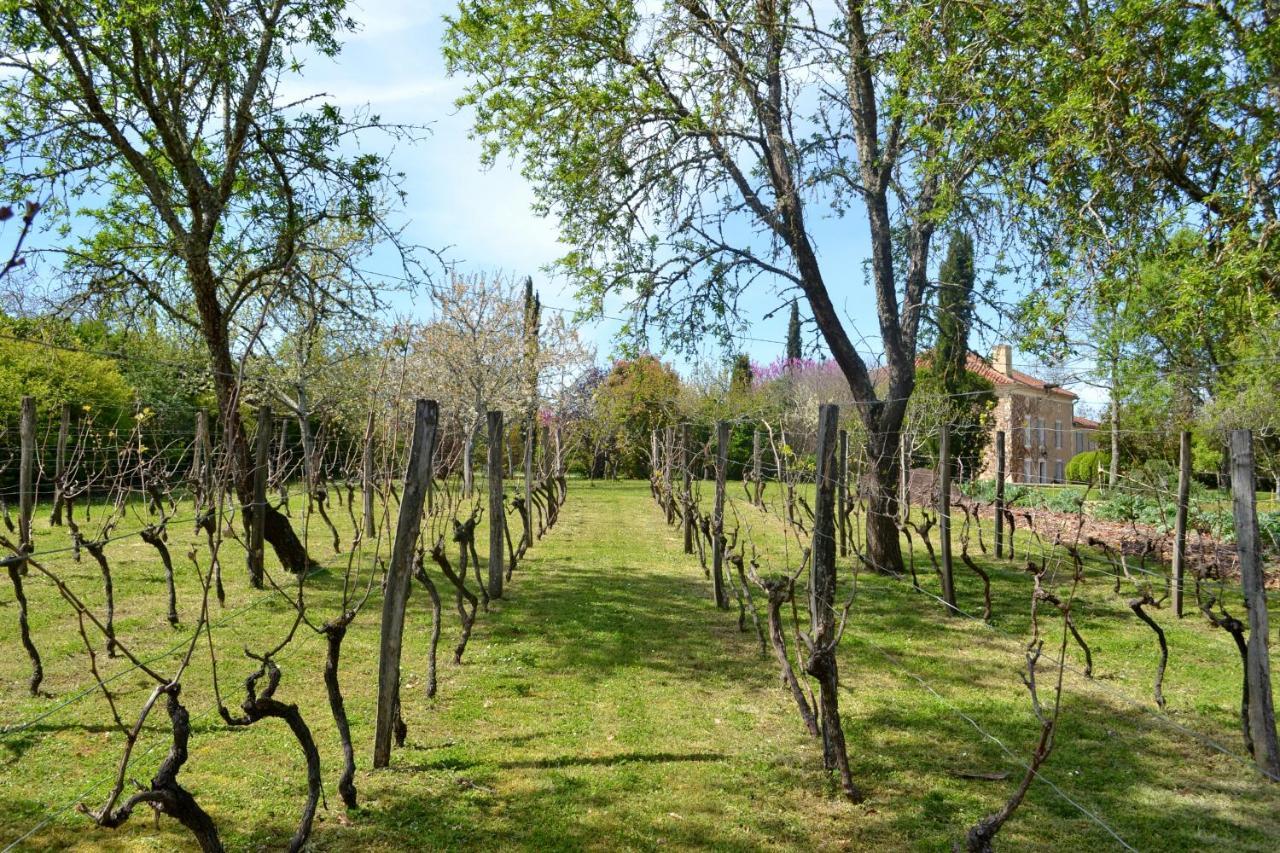 Chambre D'Hote Au Domaine Terre De Chenes Saint-Paul-de-Baise Esterno foto