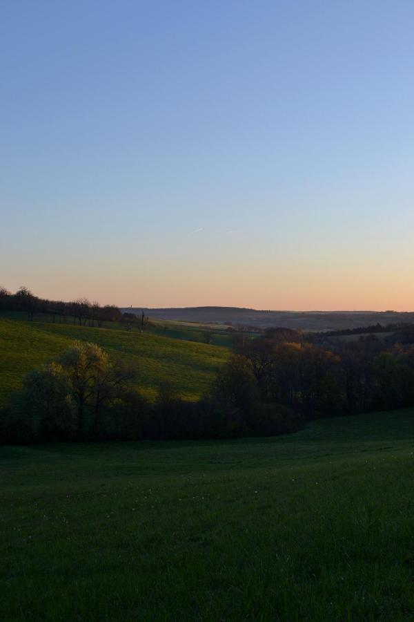 Chambre D'Hote Au Domaine Terre De Chenes Saint-Paul-de-Baise Esterno foto