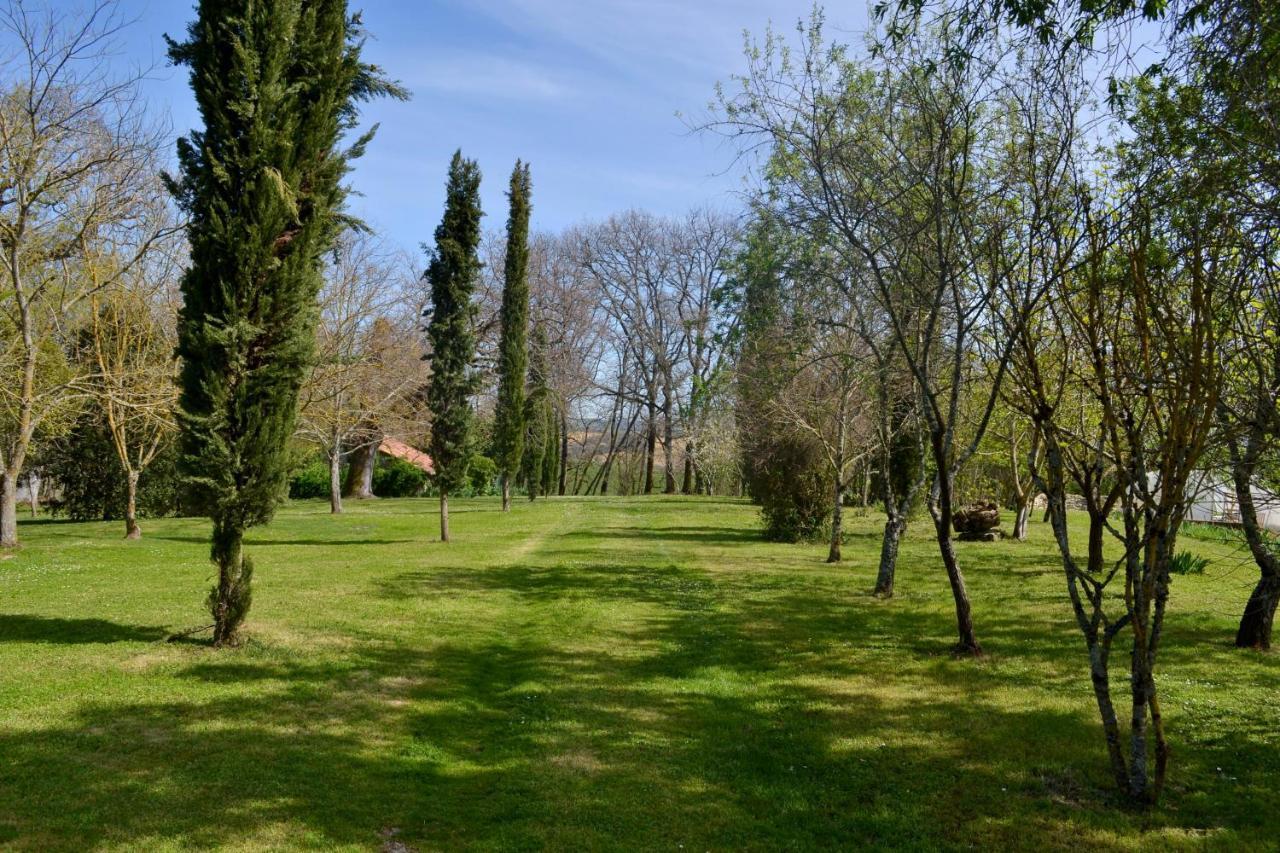Chambre D'Hote Au Domaine Terre De Chenes Saint-Paul-de-Baise Esterno foto