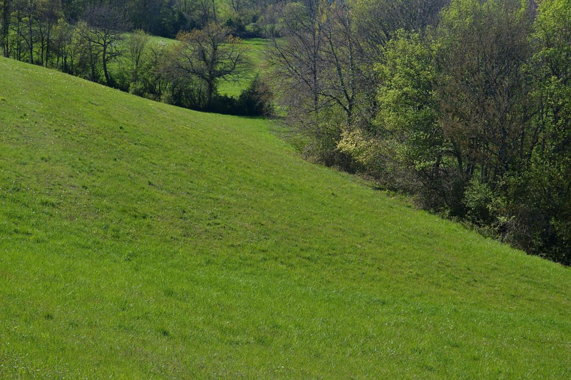 Chambre D'Hote Au Domaine Terre De Chenes Saint-Paul-de-Baise Esterno foto