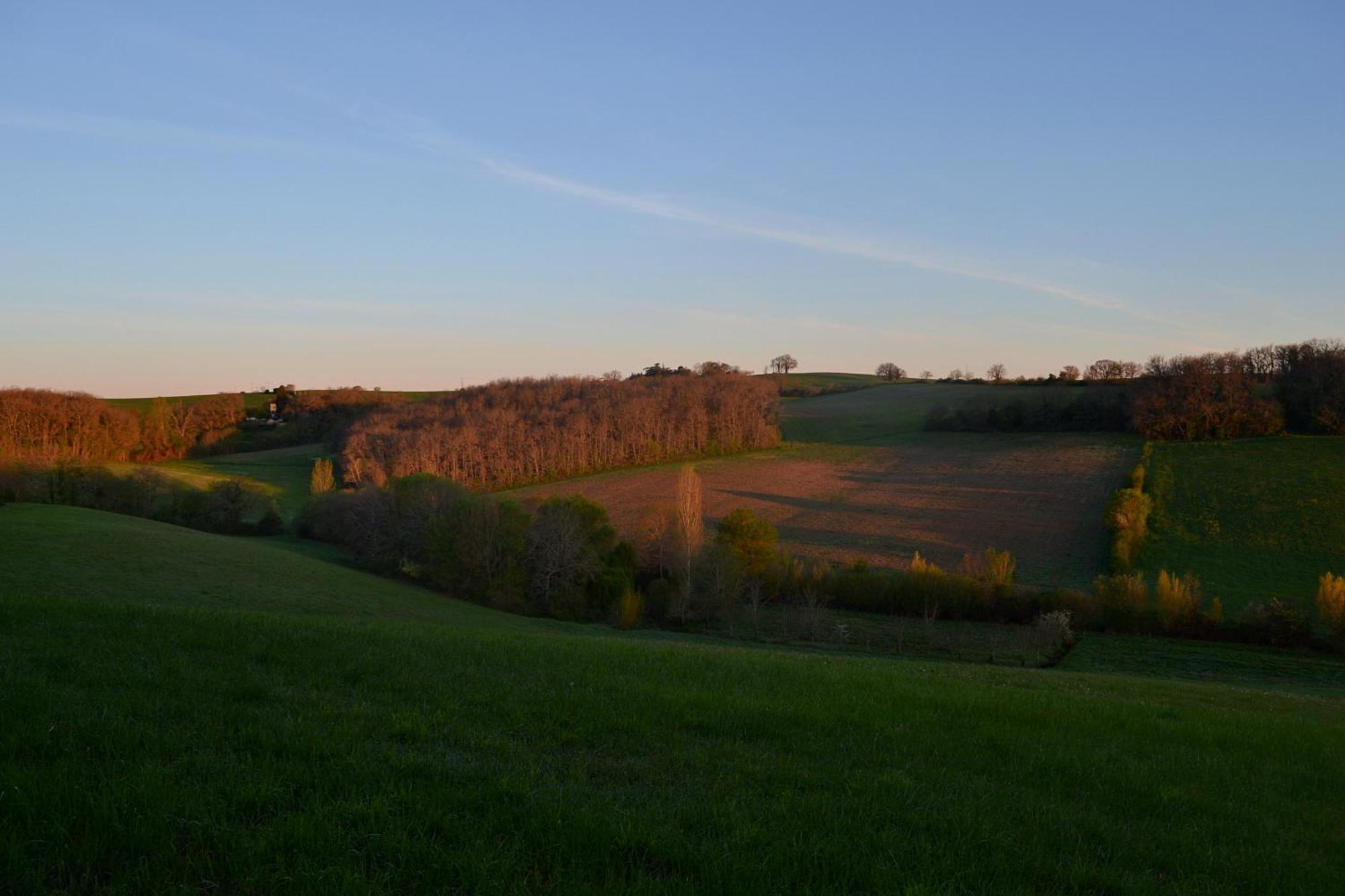 Chambre D'Hote Au Domaine Terre De Chenes Saint-Paul-de-Baise Esterno foto